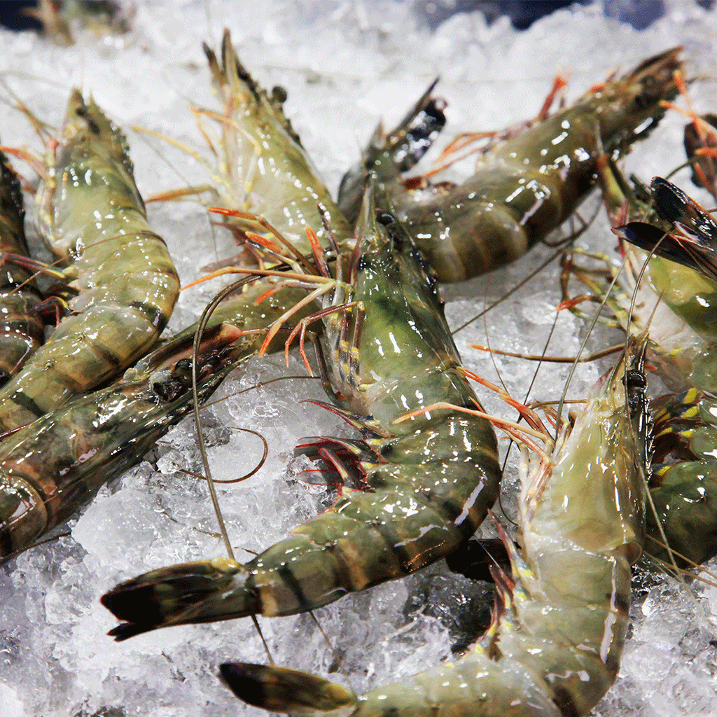 The Ultimate Guide to Prawns: Types, Cooking and Easy Ideas