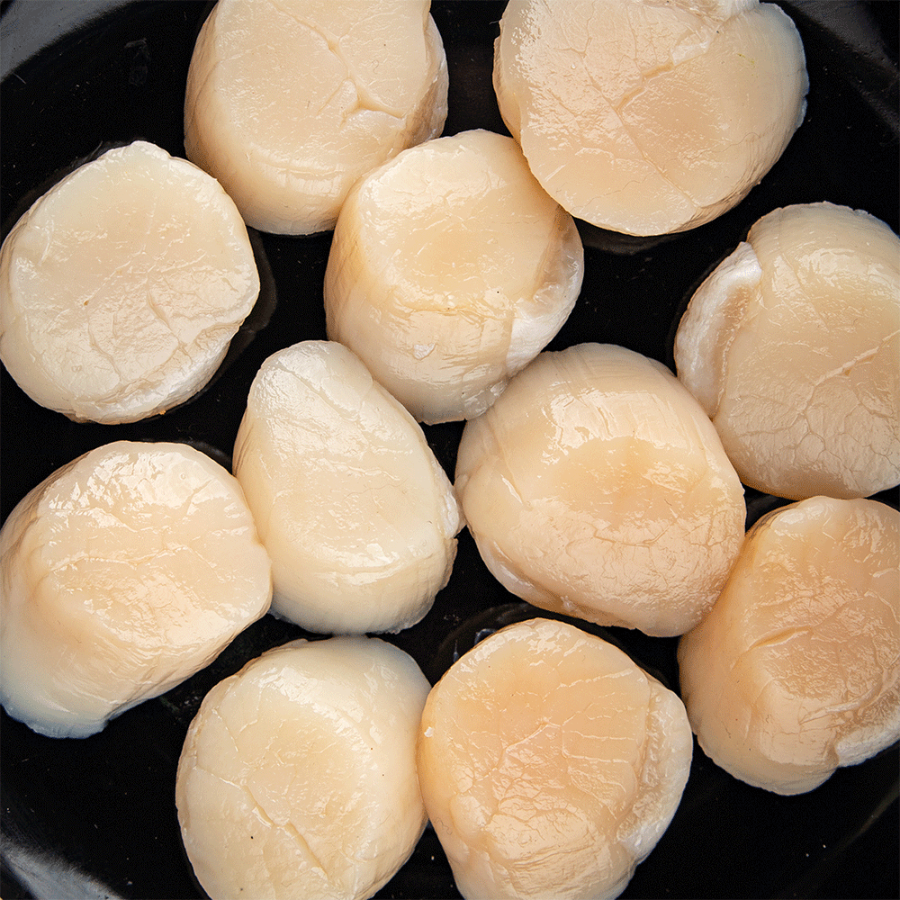 Scallops: A Nutrient-Rich Seafood You Can’t Miss