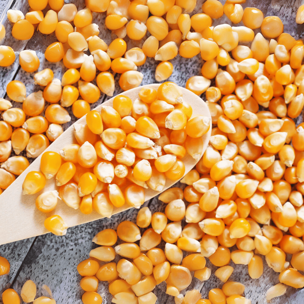 煎鍋炒有機玉米 - Aussie Meat, Meat delivery, online butcher, BBQ Grills, Wine