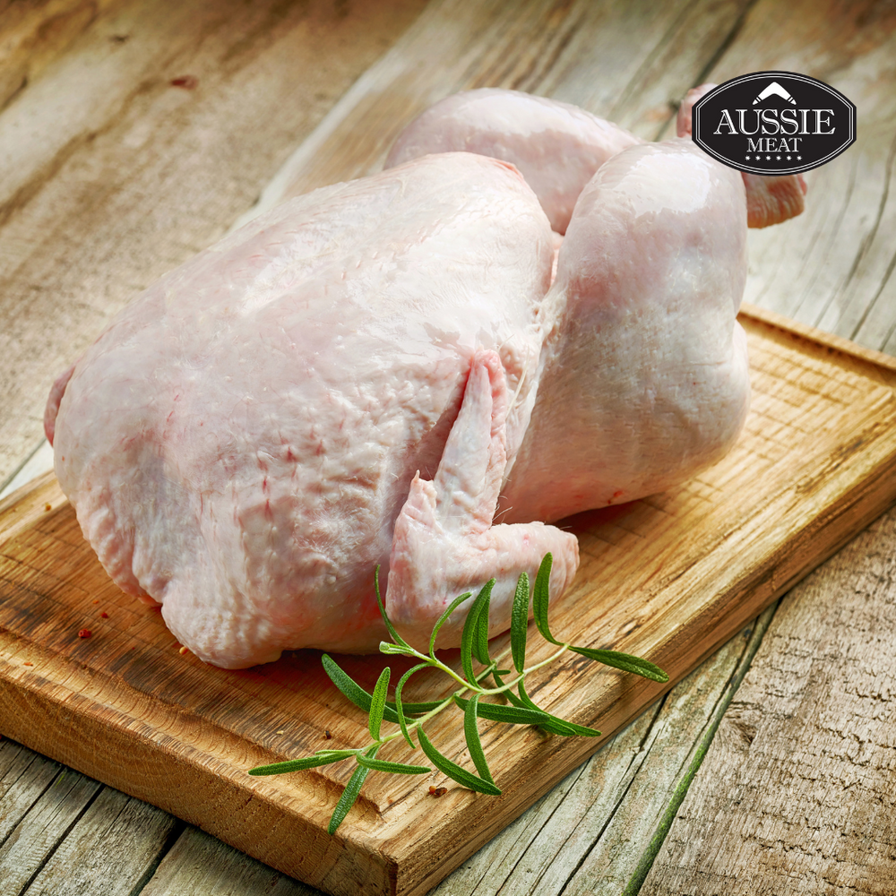 Chicken Spring Part Image Chicken Meat Parts
