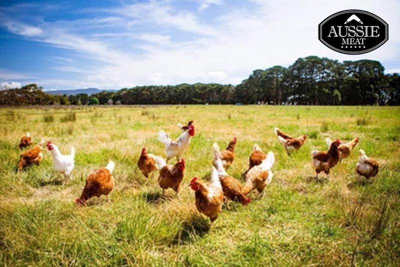 Halal Chicken | Meat Delivery | Seafood Delivery | Butcher | South Stream Farmers Market