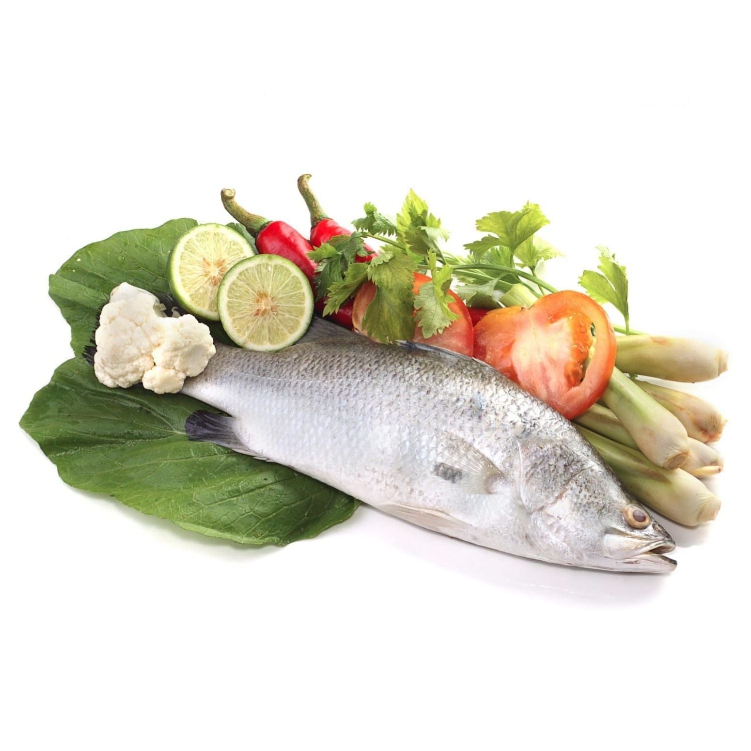 Ocean Catch Seafood | Buy 9 Get 10 | Buy Bulk and Save |  Seafood Delivery