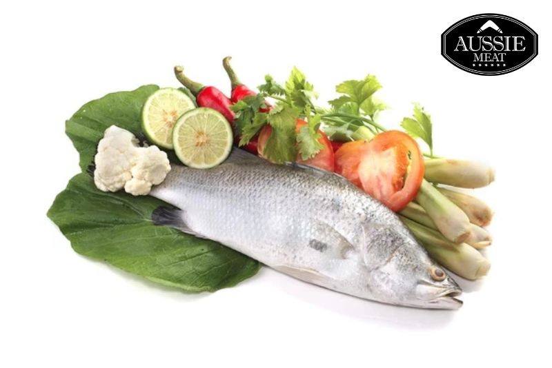 Ocean Catch Seafood | Buy 9 Get 10 | Buy Bulk and Save |  Seafood Delivery