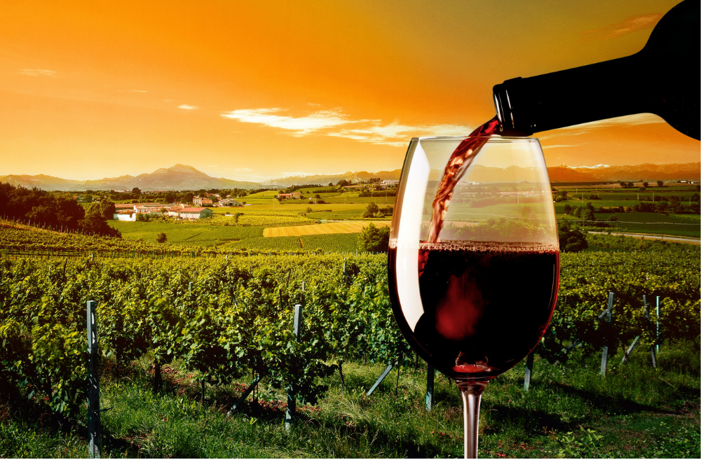 Aussie Meat Wine Bundles | Meat Delivery | Seafood Delivery | Wine Delivery | BBQ Grill Delivery | Best Online Grocery Store