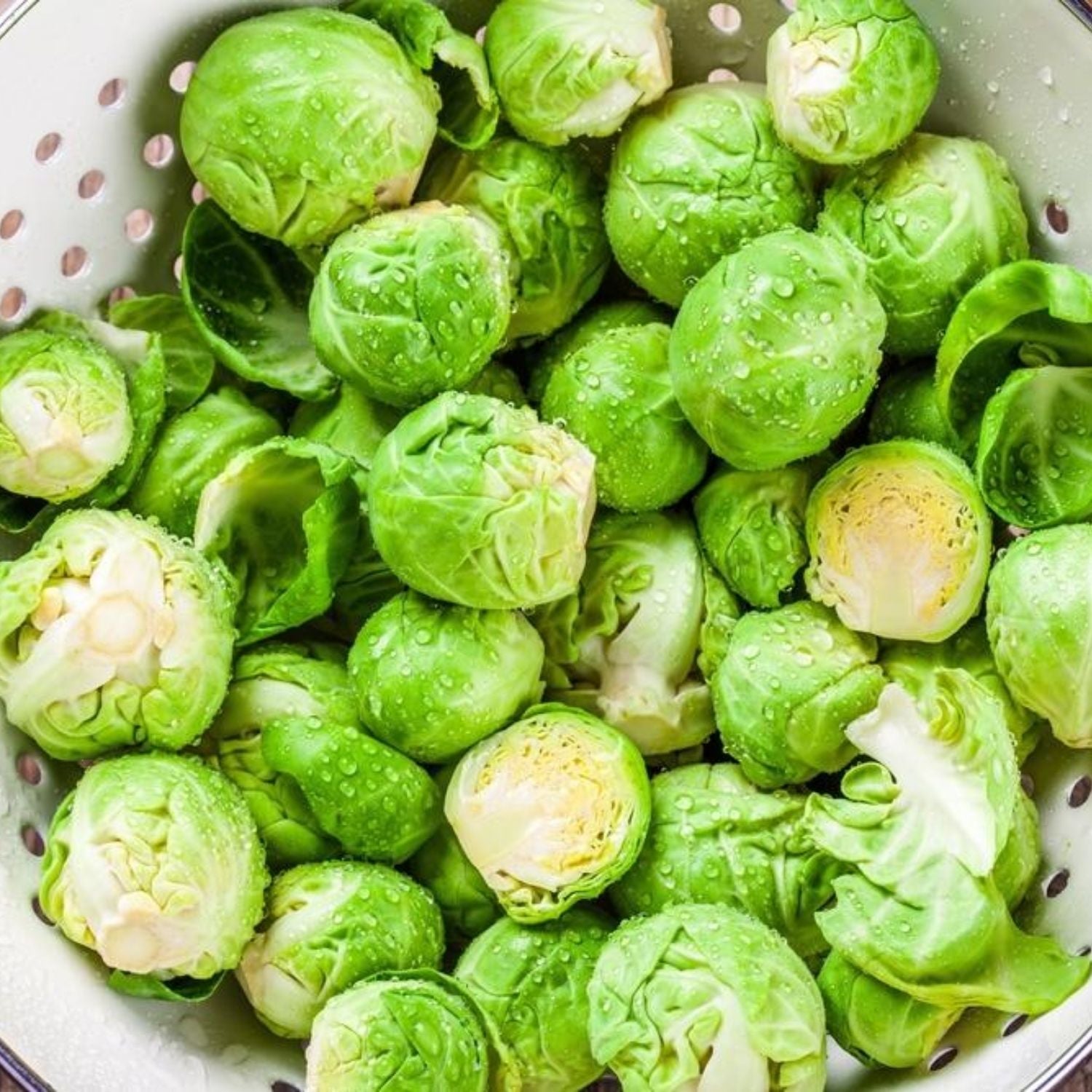 Organic Vegetables | Meat Delivery | Seafood Delivery | Butcher | South Stream Farmers Market
