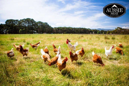 Australian Free Range Chicken Mid Joint Wings | Aussie Meat | eat4charityHK | Meat Delivery | Seafood Delivery | Wine & Beer Delivery | BBQ Grills | Lotus Grills | Weber Grills | Outdoor Furnishing | VIPoints