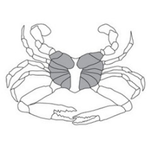 Cooked Blue Swimming Crab Meat (Super Lump) (454g/tin)