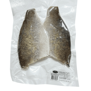 Barramundi Fish Fillets Boneless and Skin-On