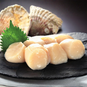 Fresh scallops on a black slate plate with a green leaf garnish, with two shellfish shells blurred in the background against a dark studio backdrop. - Japanese Hokkaido Scallops (1kg | Large | Sashimi Grade For Cooking)