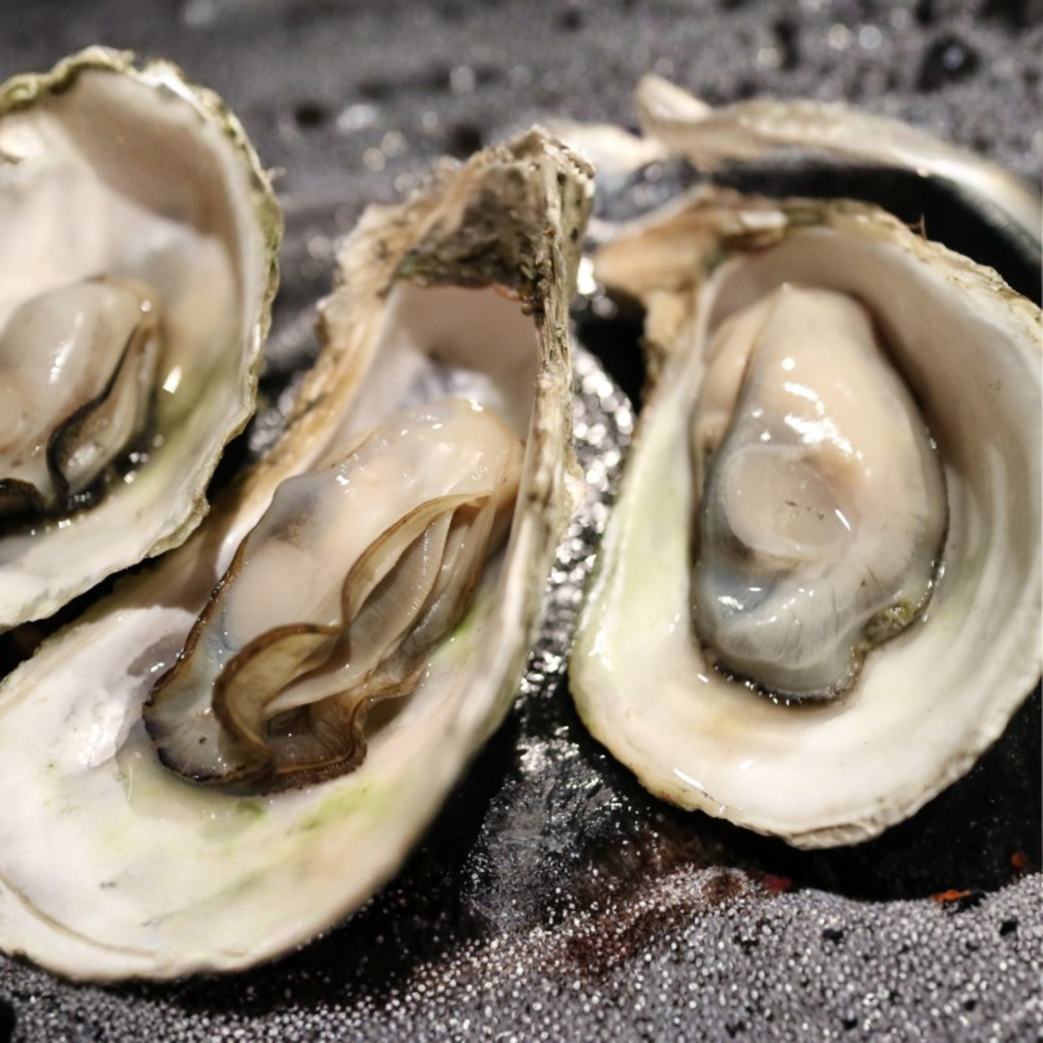 Ocean Catch Japanese Oyster Meat without Shell_2 | Aussie Meat Meat Delivery Online Butcher BBQ Grills Wine - Ocean Catch Japanese Oyster Meat without Shell (1kg)