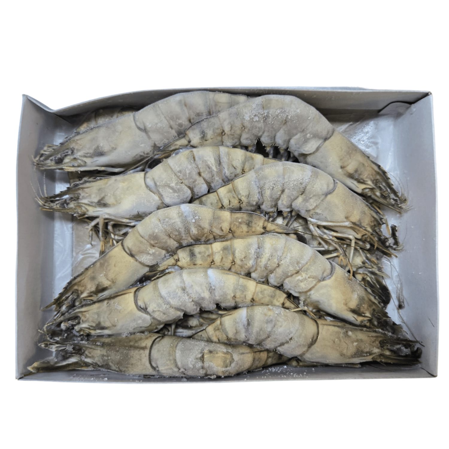 Ocean Catch Premium Tiger Prawns | Aussie Meat Meat Delivery Online Butcher BBQ Grills Wine - Premium Tiger Prawns (1kg XL)