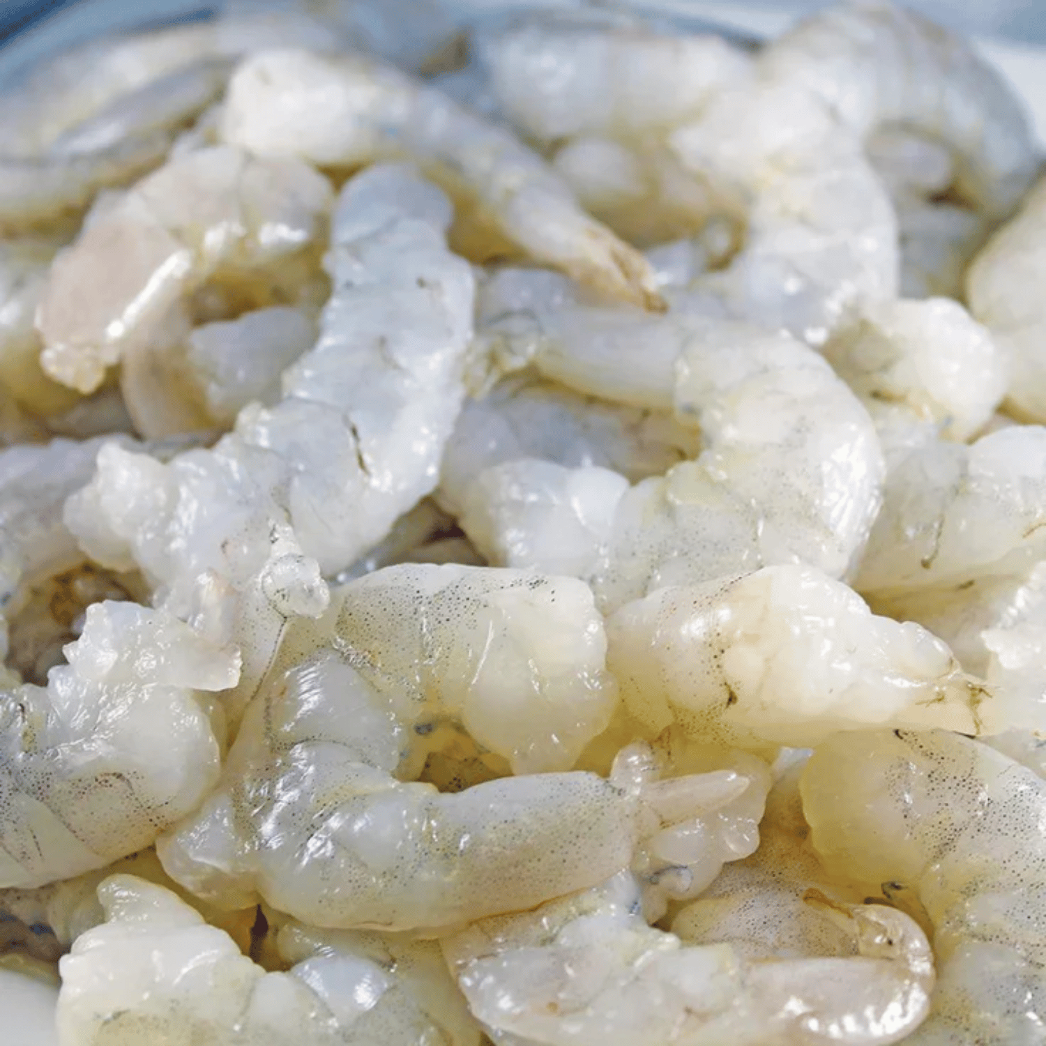 Ocean Catch Premium Thai White Prawns Peeled | Aussie Meat Meat Delivery Online Butcher BBQ Grills Wine - Premium Thai White Prawns Peeled (1kg)