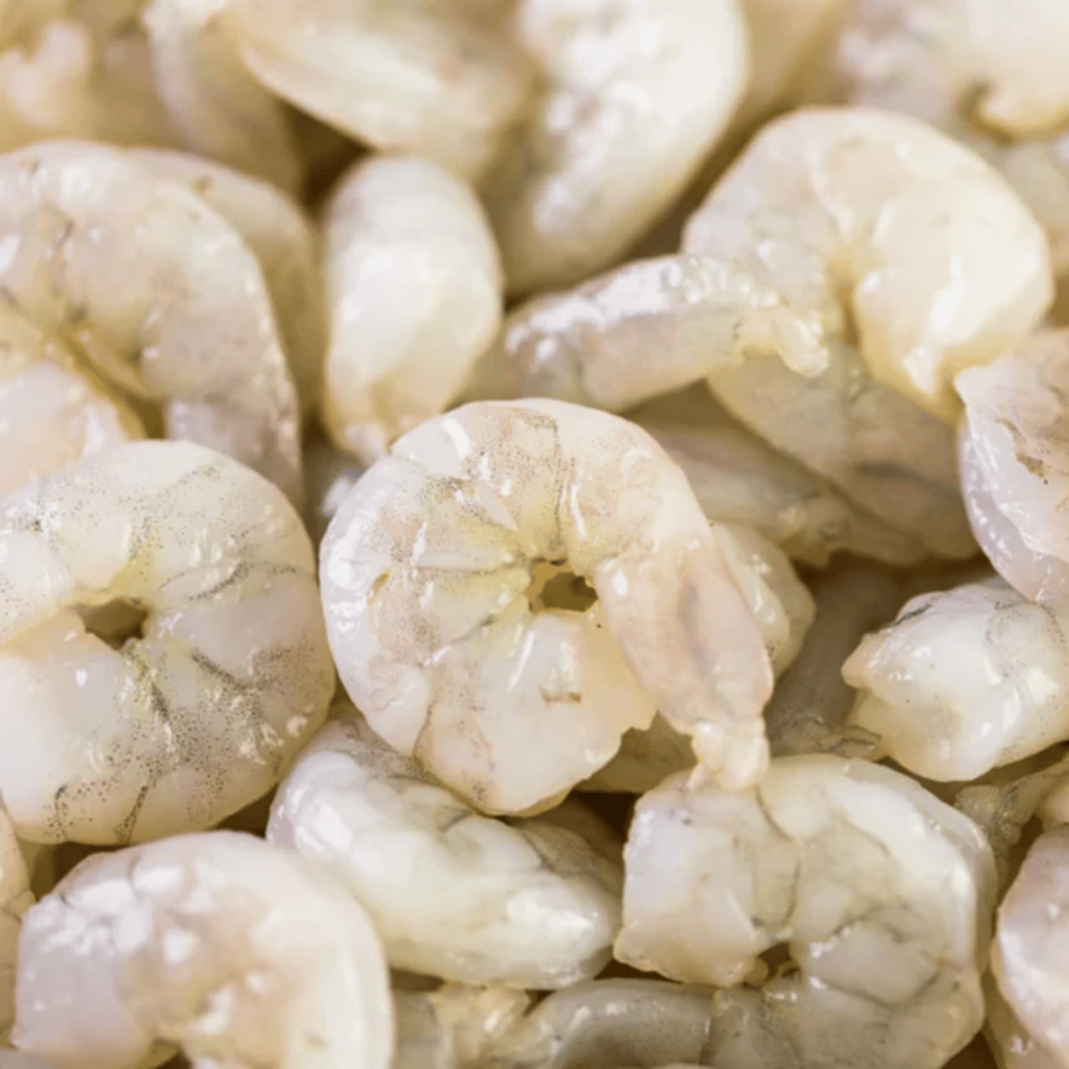 Ocean Catch Premium Thai White Prawns Peeled | Aussie Meat Meat Delivery Online Butcher BBQ Grills Wine - Premium Thai White Prawns Peeled (1kg)