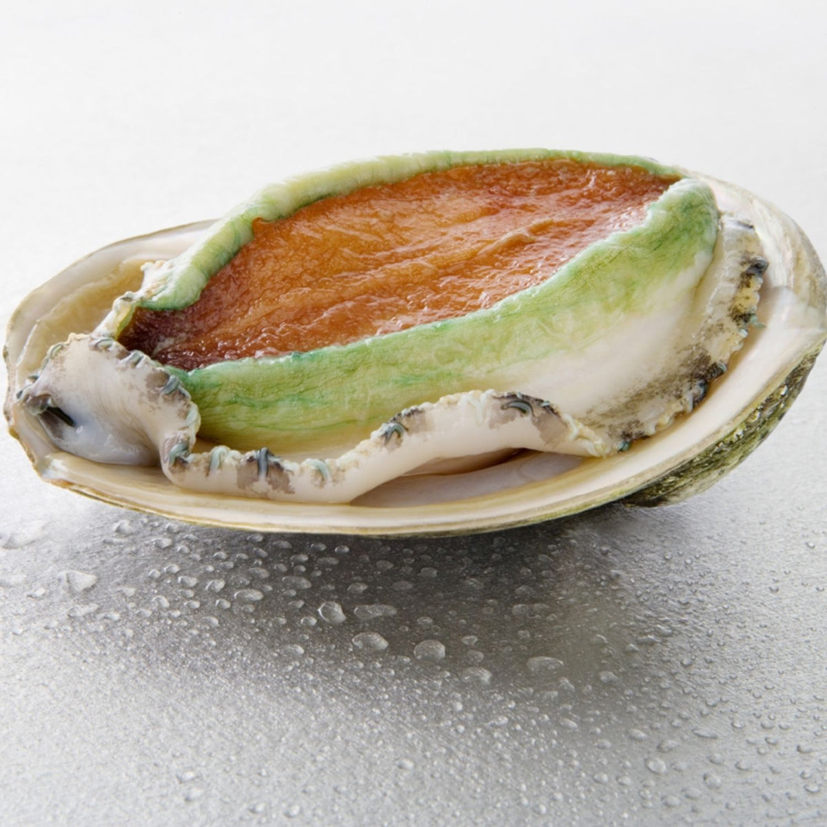 Australian Green Abalone In Shell (1kg, approx 11 pcs)