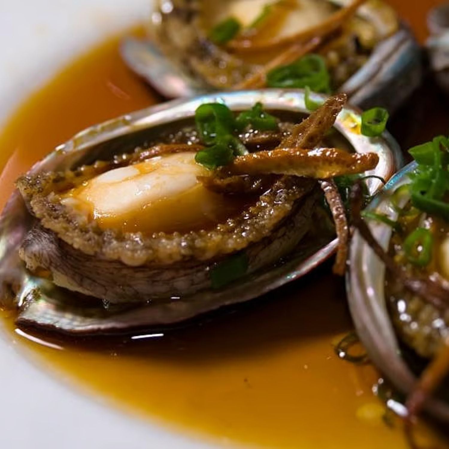 澳洲翡翠鮑魚(1公斤)