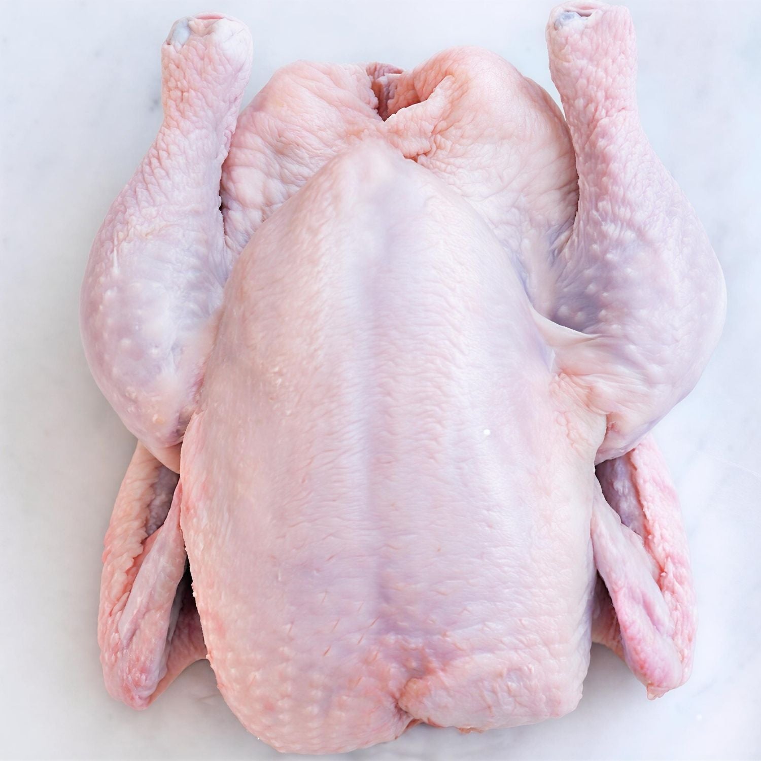 Raw whole chicken on a white background - 澳洲無激素全雞(1.6公斤)