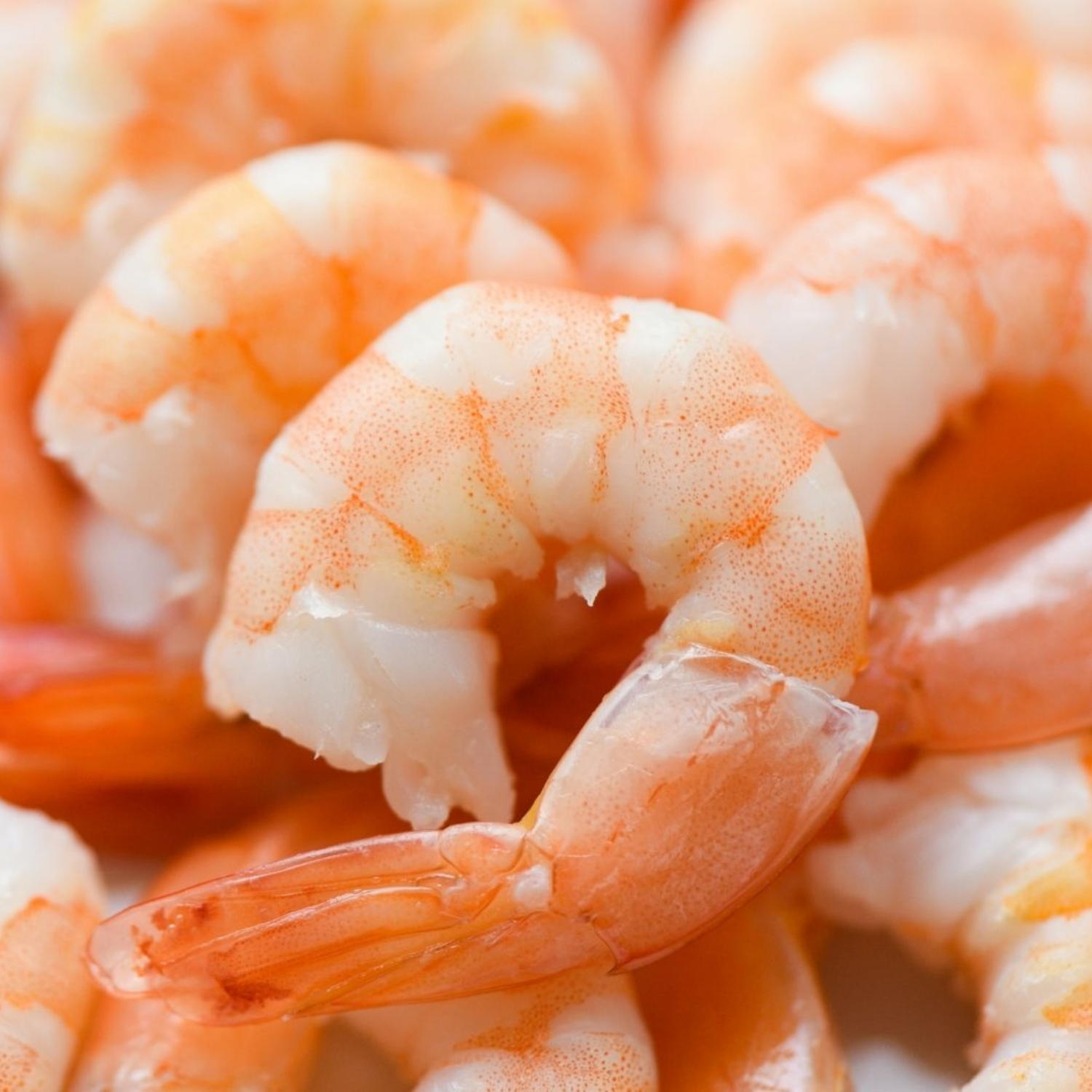 Australian Prawns Marinated in Chilli & Garlic (250g)