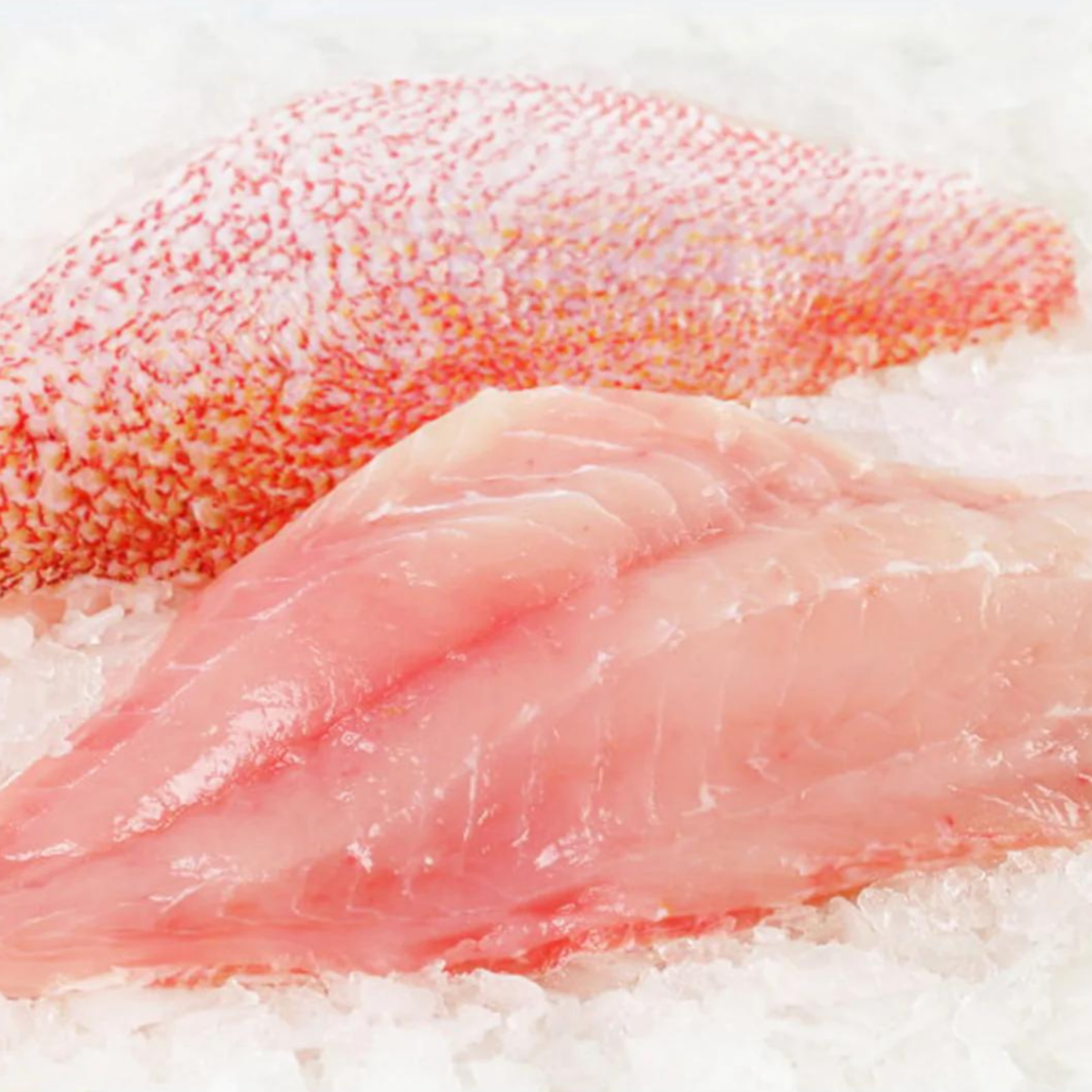 Buy Australian Saddle Tail Snapper Fillet (Skin On) Online | Aussie Meat