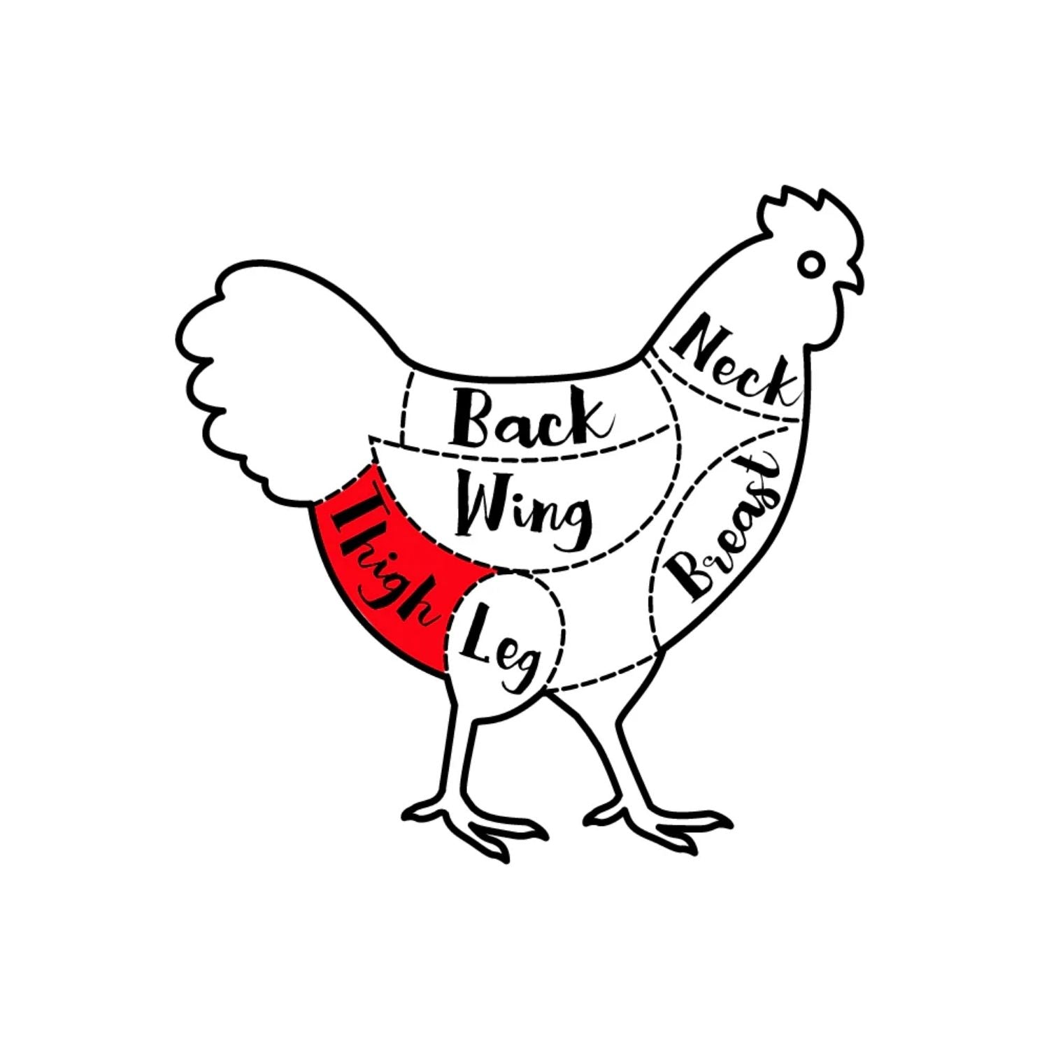 Diagram of a chicken with labeled parts with thigh highlighted in red on a white background - EU Hormone Free Chicken Thighs Skin-On with Back Bone (908g)
