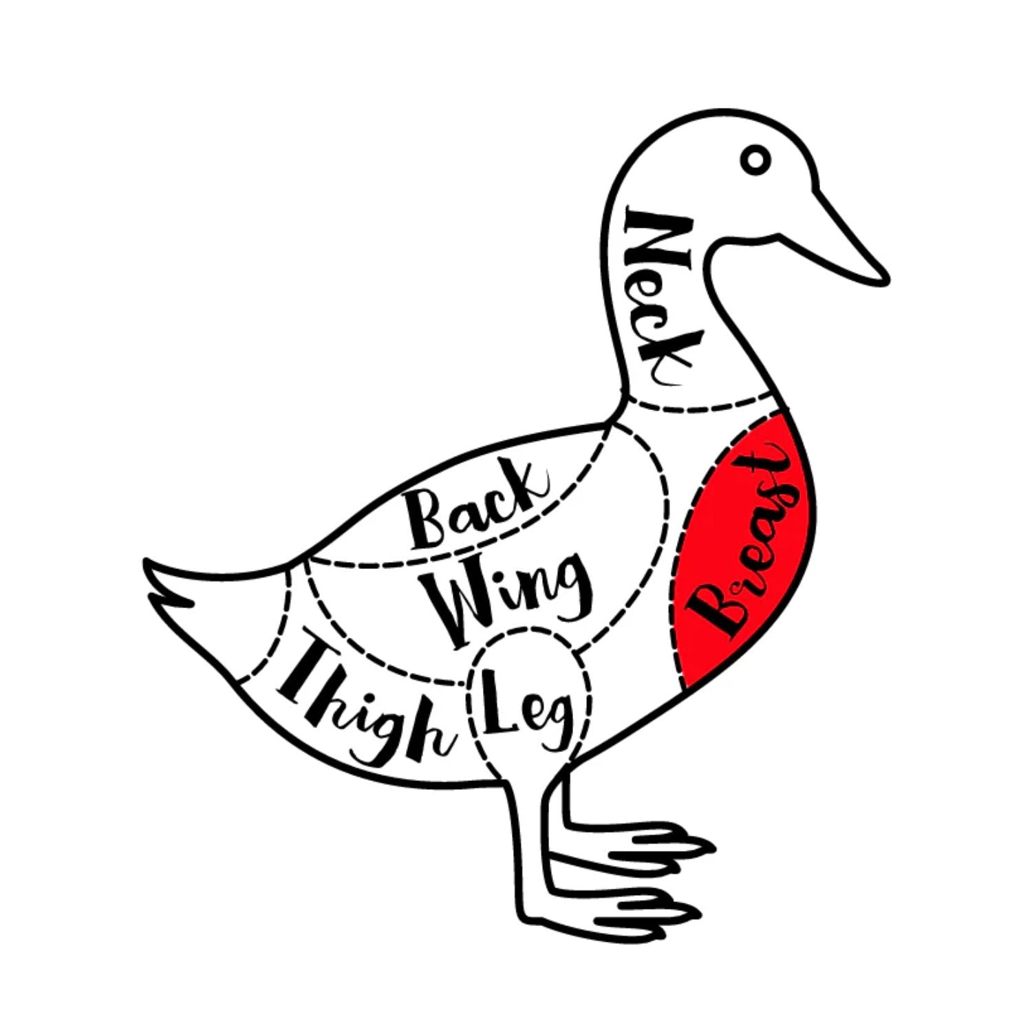 Diagram of a duck labeled for different parts with 'Breast' highlighted in red. - French Hormone Free Moulard Duck Breast Skin-On Boneless Fillet
