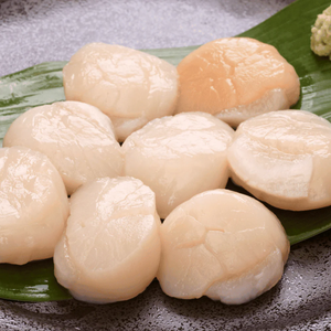 海洋撈捕日本帶子(1公斤|31/40|刺身級)