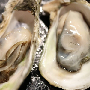 Japanese Oyster Meat without Shell (1kg)