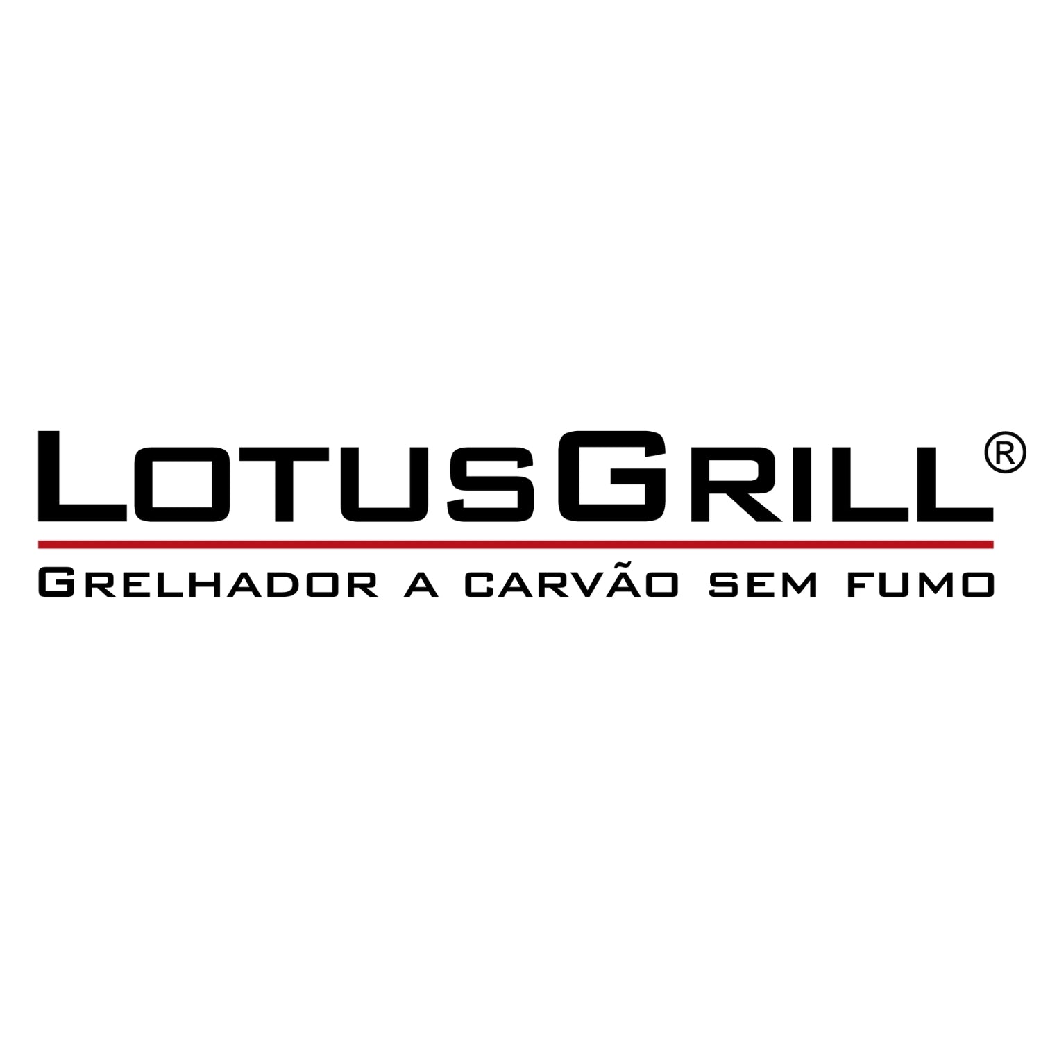 燒烤配件| Lotus Grill的無菸木炭(2.5公斤x2)和助燃凝膠(1支)