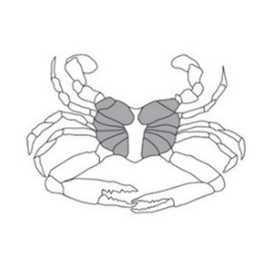 Cooked Blue Swimming Crab Meat (227g/tub)