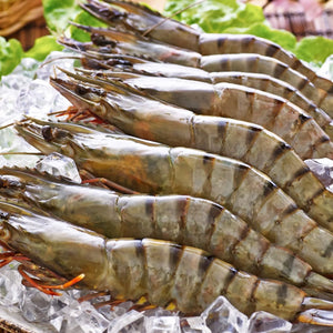 Ocean Catch Premium Tiger Prawns (1kg XL)