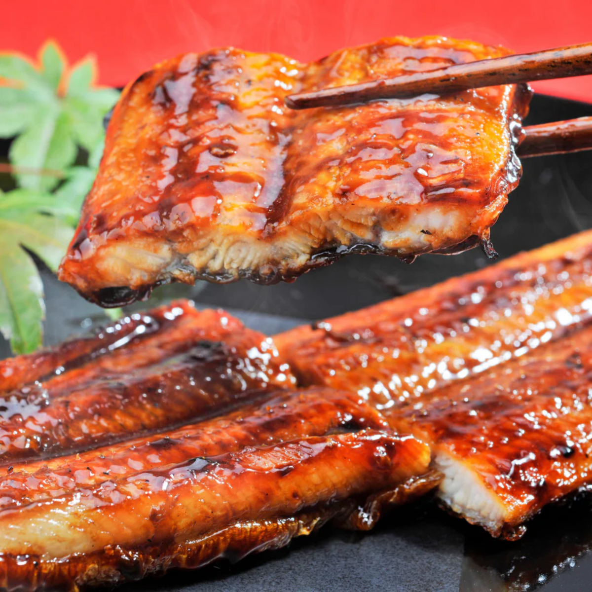 Roasted Pacific Eel (250-300g)