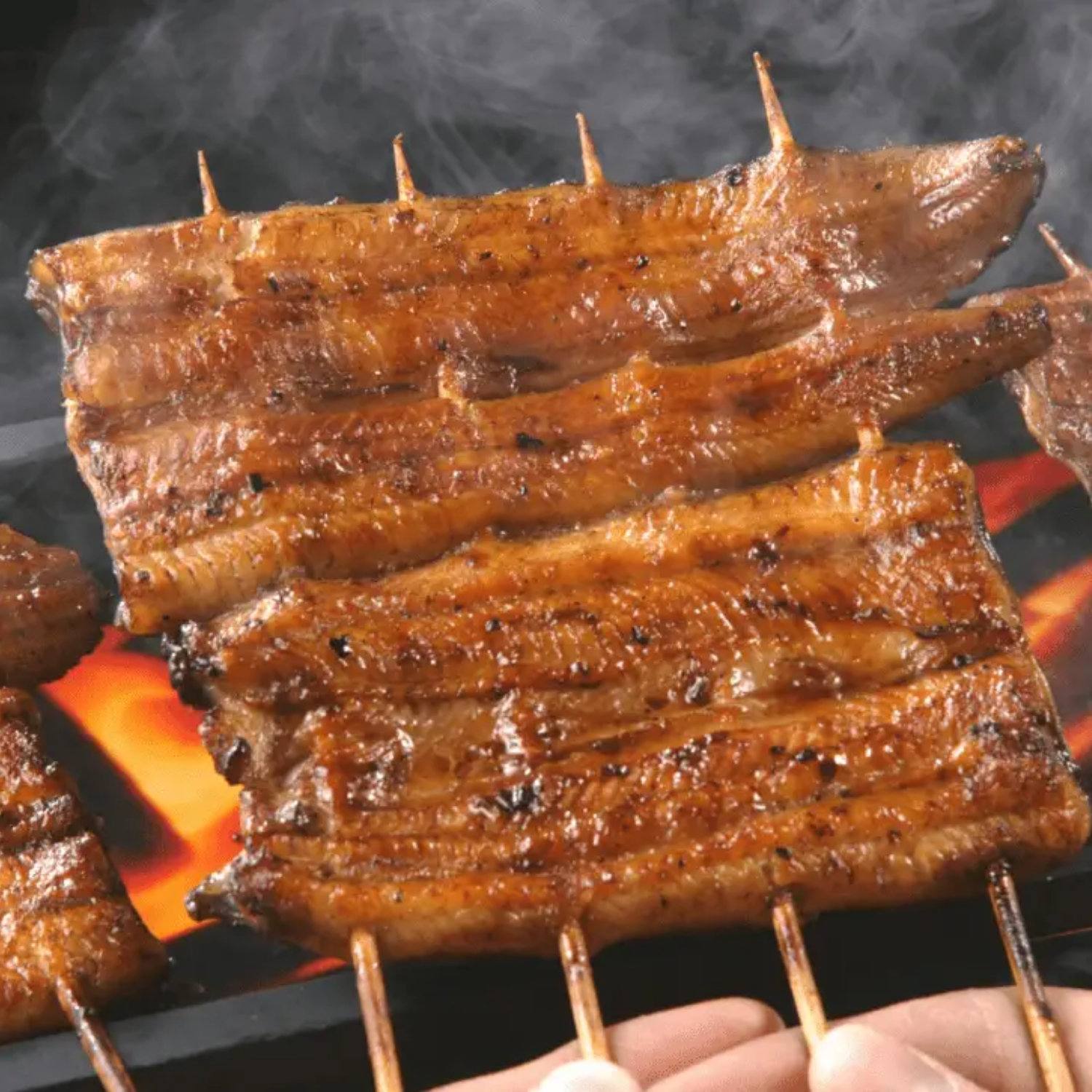 Roasted Pacific Eel (250-300g)