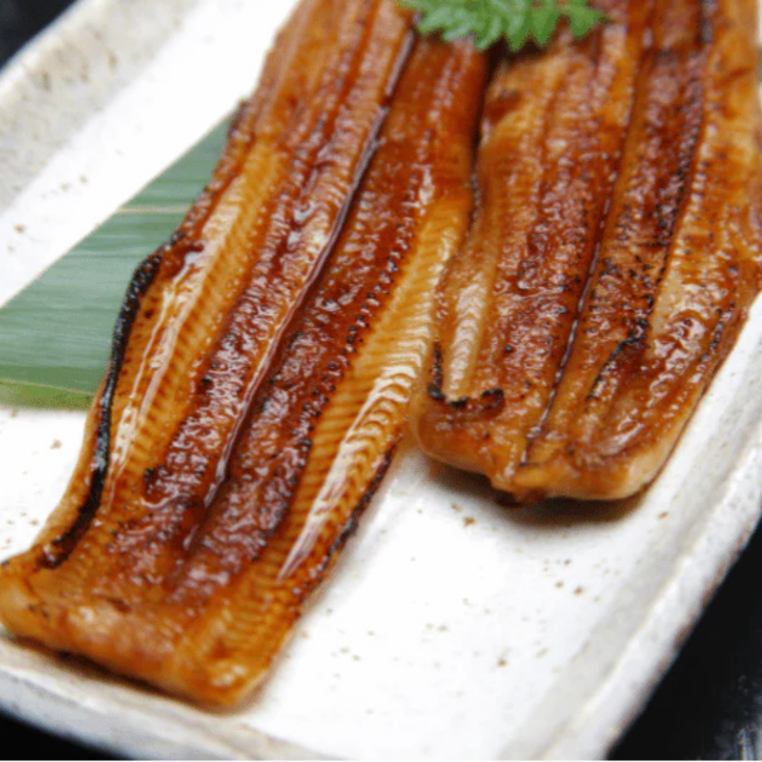 Roasted Pacific Eel (250-300g)