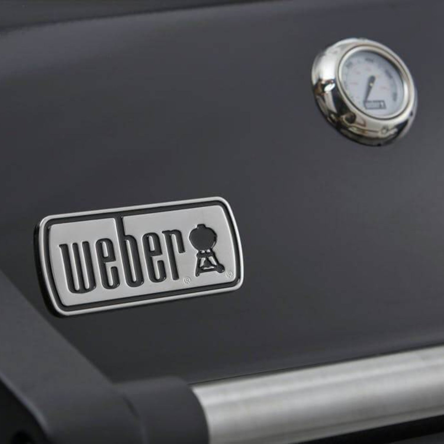 Weber Spirit II E215 (2 燃燒器燃氣燒烤) 連保護套、安裝及送貨