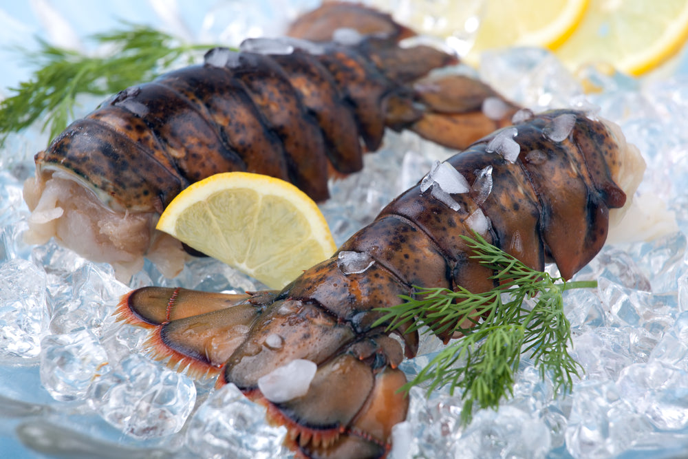 US Ocean Catch Lobster Tails (~303g, 2 Pieces) | Meat and Seafood Delivery | Wine Delivery | BBQ Grill Delivery | Weber | Lotus grill | Butcher | Grocery Delivery | Farmers Market
